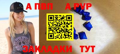 шишки Лесосибирск