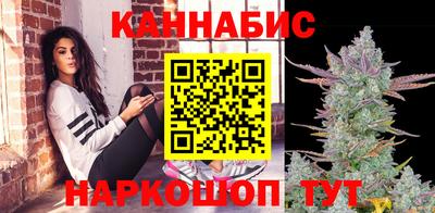 шишки Лесосибирск