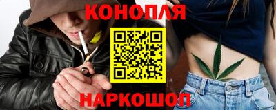 шишки Лесосибирск