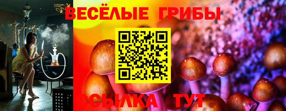 Псилоцибиновые грибы мухоморы  Вход с VPN  Шадринск 